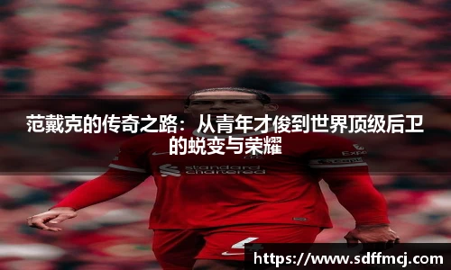 范戴克的传奇之路：从青年才俊到世界顶级后卫的蜕变与荣耀